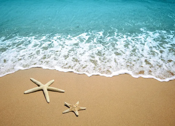 depositphotos_6193797-stock-photo-starfish-on-a-beach-sand